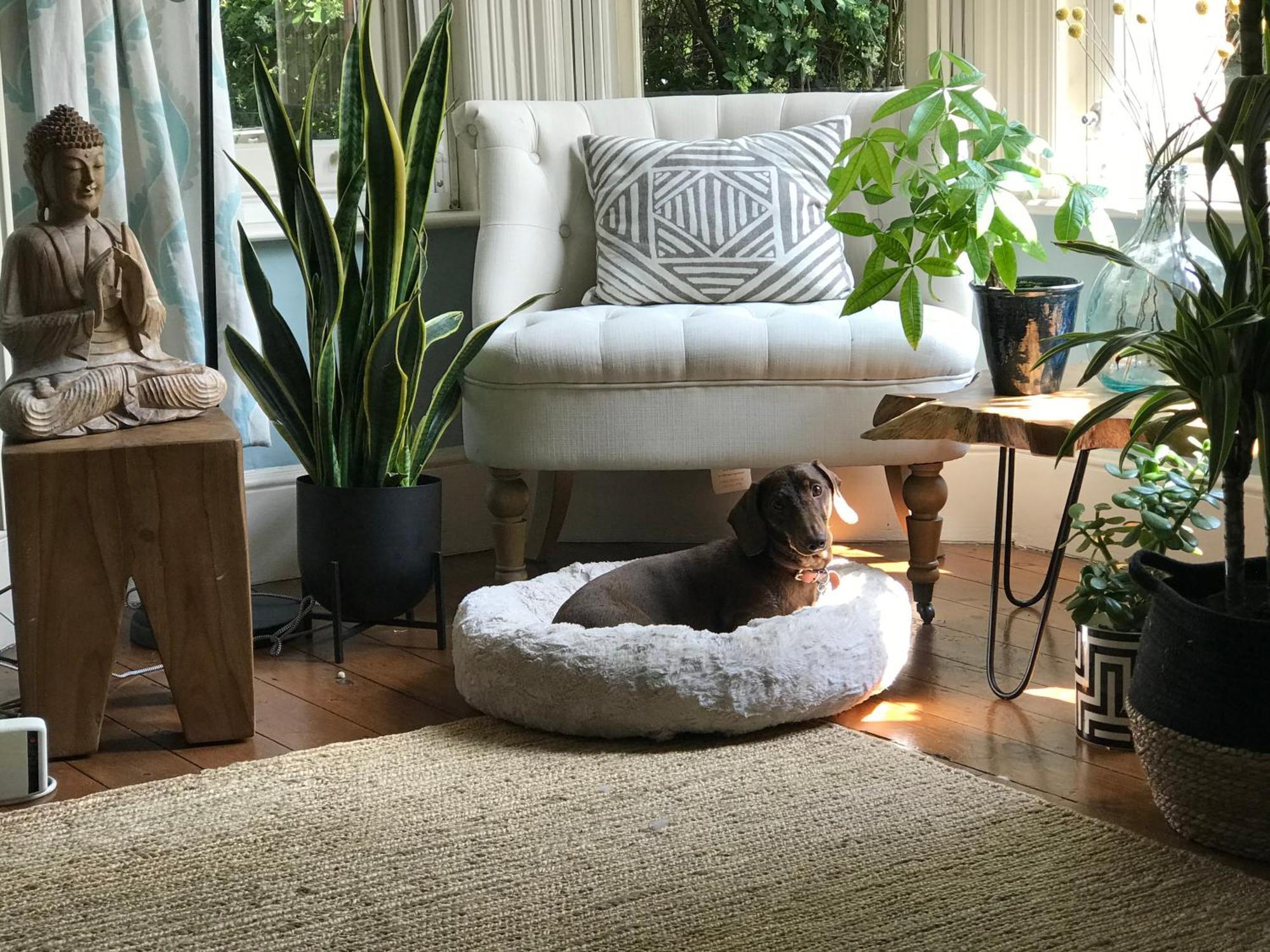 Dawn And Dudley The Sausage Dog'S Parkside Home Londyn Zewnętrze zdjęcie